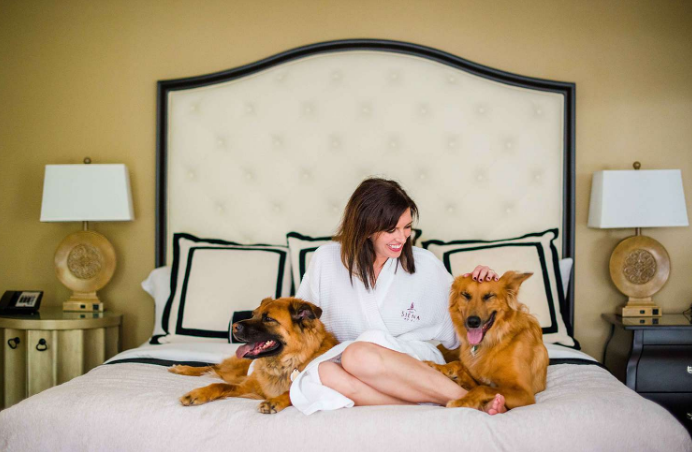 Pet-Friendly Hotel Resorts: Top Picks You'll Love